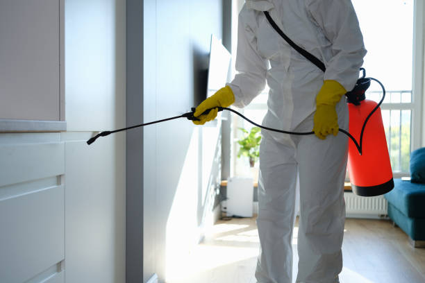 Best Basement Mold Remediation in Glen Alpine, NC